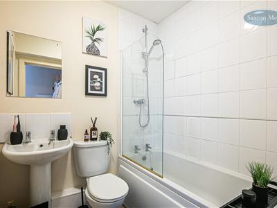 Picture 11